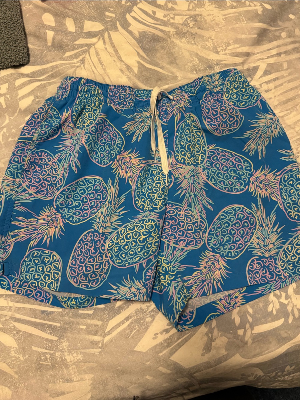 Chubbies bathing suit 5.5 inch medium